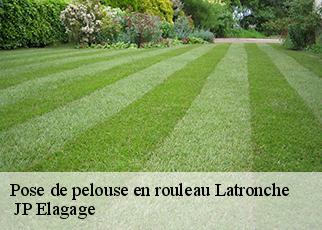 Pose de pelouse en rouleau latronche-19160 JP Elagage