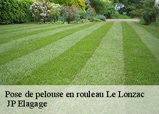 Pose de pelouse en rouleau le-lonzac-19470 JP Elagage
