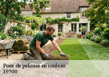 Pose de pelouse en rouleau 19500