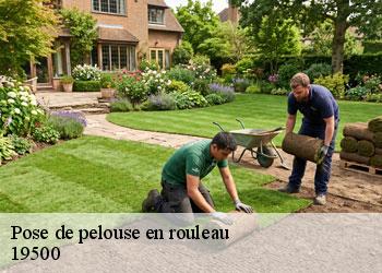 Pose de pelouse en rouleau 19500