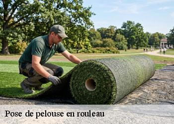Pose de pelouse en rouleau 19500