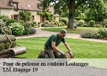 Pose de pelouse en rouleau 19500