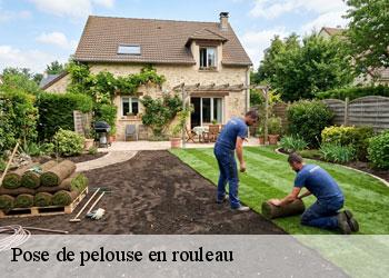 Pose de pelouse en rouleau 19500