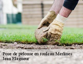 Pose de pelouse en rouleau merlines-19340 Jean Elagueur