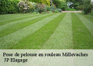 Pose de pelouse en rouleau millevaches-19290 JP Elagage