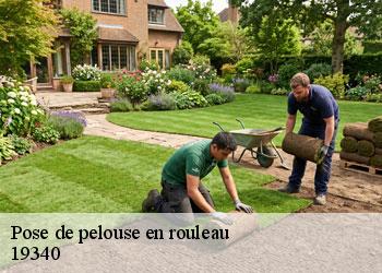 Pose de pelouse en rouleau 19340