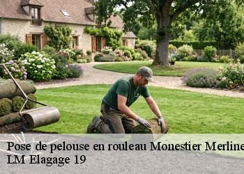 Pose de pelouse en rouleau 19340