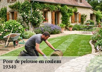 Pose de pelouse en rouleau 19340