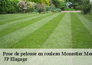 Pose de pelouse en rouleau  monestier-merlines-19340 MIODET Franck, elagage19