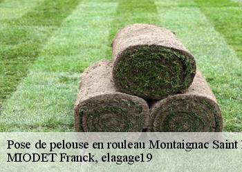 Pose de pelouse en rouleau  montaignac-saint-hippolyte-19300 MIODET Franck, elagage19