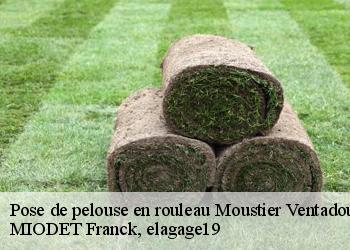 Pose de pelouse en rouleau  moustier-ventadour-19300 MIODET Franck, elagage19