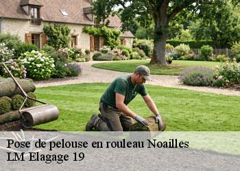 Pose de pelouse en rouleau 19600