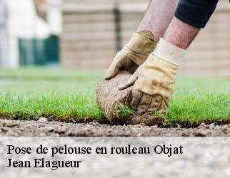 Pose de pelouse en rouleau objat-19130 Jean Elagueur
