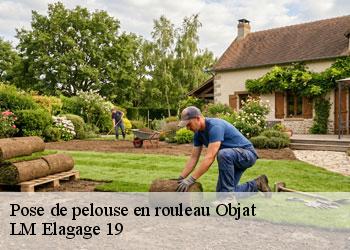 Pose de pelouse en rouleau 19130