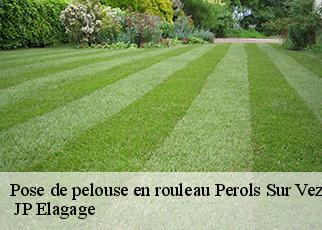 Pose de pelouse en rouleau  perols-sur-vezere-19170  JP Elagage