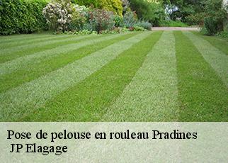 Pose de pelouse en rouleau pradines-19170 JP Elagage