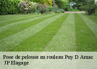 Pose de pelouse en rouleau  puy-d-arnac-19120  JP Elagage