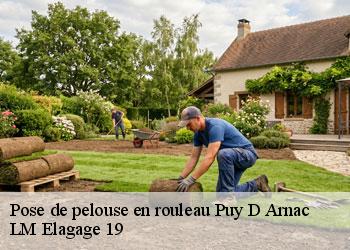 Pose de pelouse en rouleau 19120