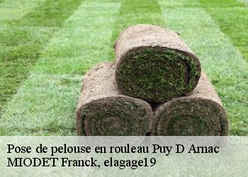 Pose de pelouse en rouleau  puy-d-arnac-19120 MIODET Franck, elagage19