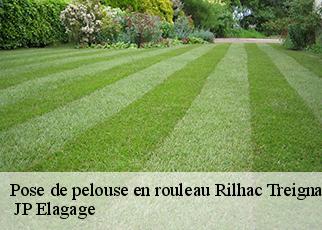 Pose de pelouse en rouleau  rilhac-treignac-19260  JP Elagage