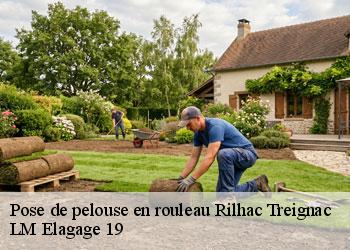 Pose de pelouse en rouleau 19260