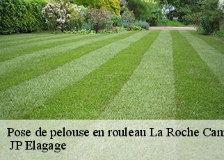 Pose de pelouse en rouleau  la-roche-canillac-19320  JP Elagage