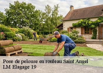 Pose de pelouse en rouleau 19200