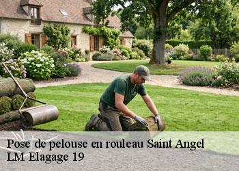 Pose de pelouse en rouleau 19200