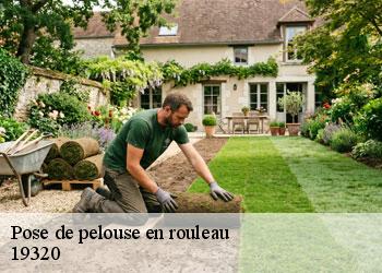 Pose de pelouse en rouleau 19320