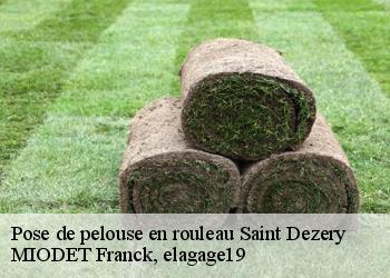 Pose de pelouse en rouleau  saint-dezery-19200 MIODET Franck, elagage19