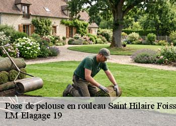 Pose de pelouse en rouleau 19550
