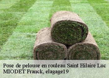 Pose de pelouse en rouleau  saint-hilaire-luc-19160 MIODET Franck, elagage19