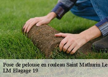 Pose de pelouse en rouleau saint-mathurin-leobazel-19430 LM Elagage 19