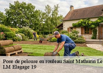 Pose de pelouse en rouleau 19430
