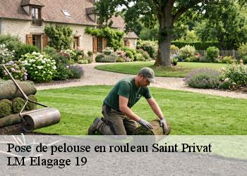 Pose de pelouse en rouleau 19220