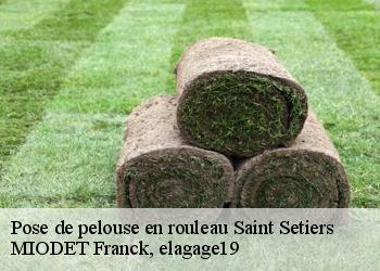 Pose de pelouse en rouleau  saint-setiers-19290 MIODET Franck, elagage19