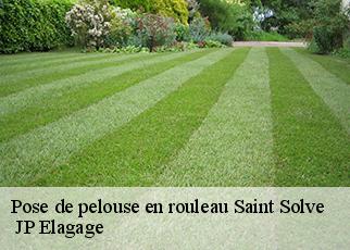 Pose de pelouse en rouleau saint-solve-19130 JP Elagage