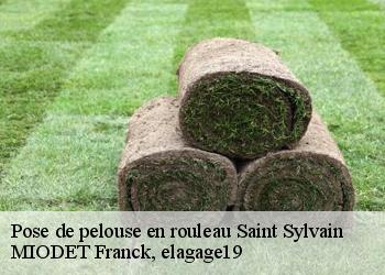 Pose de pelouse en rouleau  saint-sylvain-19380 MIODET Franck, elagage19