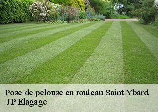 Pose de pelouse en rouleau  saint-ybard-19140  JP Elagage