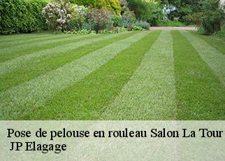 Pose de pelouse en rouleau  salon-la-tour-19510  JP Elagage