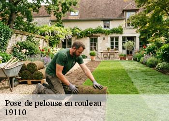 Pose de pelouse en rouleau 19110