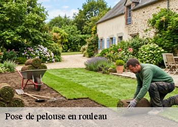 Pose de pelouse en rouleau 19110