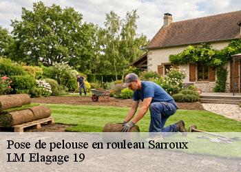 Pose de pelouse en rouleau 19110