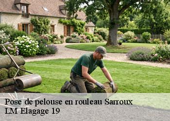 Pose de pelouse en rouleau 19110