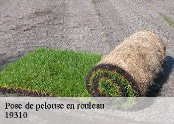 Pose de pelouse en rouleau 19310
