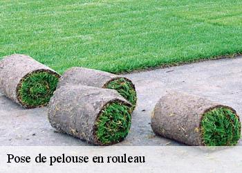 Pose de pelouse en rouleau