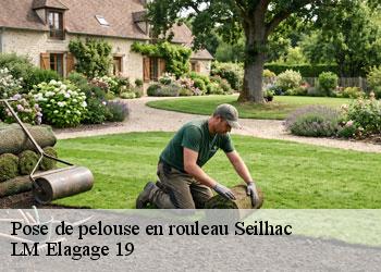 Pose de pelouse en rouleau 19700
