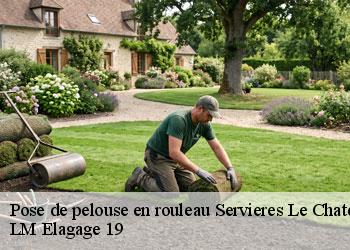 Pose de pelouse en rouleau 19220