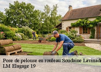 Pose de pelouse en rouleau  19370