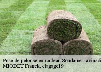 Pose de pelouse en rouleau  soudaine-lavinadiere-19370 MIODET Franck, elagage19
